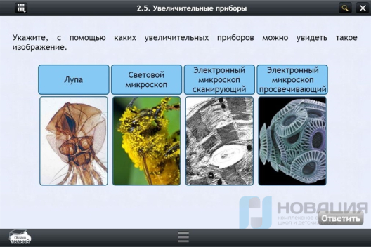 Электронные образовательные ресурсы по предмету Биология